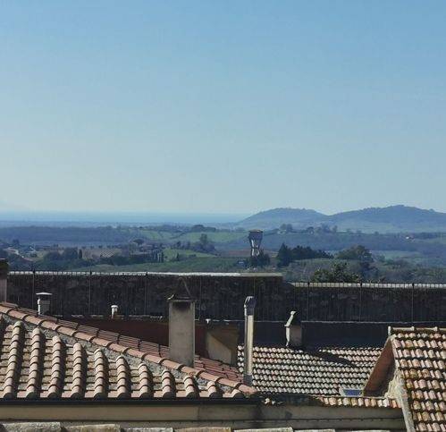 appartamento in vendita a Magliano in Toscana