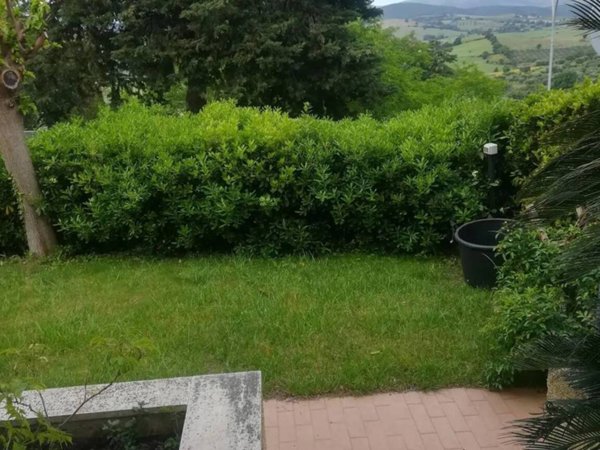appartamento in vendita a Magliano in Toscana in zona Montiano