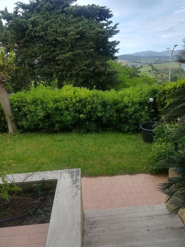 appartamento in vendita a Magliano in Toscana in zona Montiano