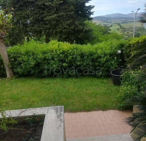 appartamento in vendita a Magliano in Toscana in zona Montiano