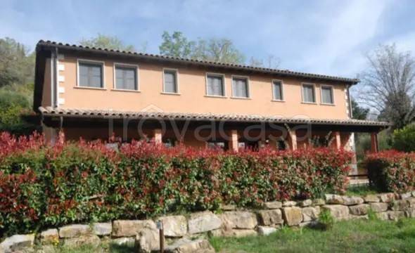 appartamento in vendita a Magliano in Toscana