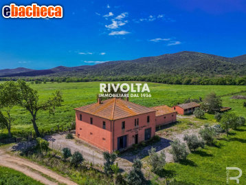 appartamento in vendita a Magliano in Toscana
