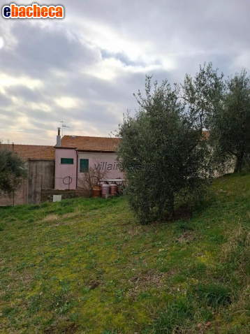 appartamento in vendita a Magliano in Toscana
