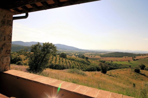 pentavano in vendita a Magliano in Toscana