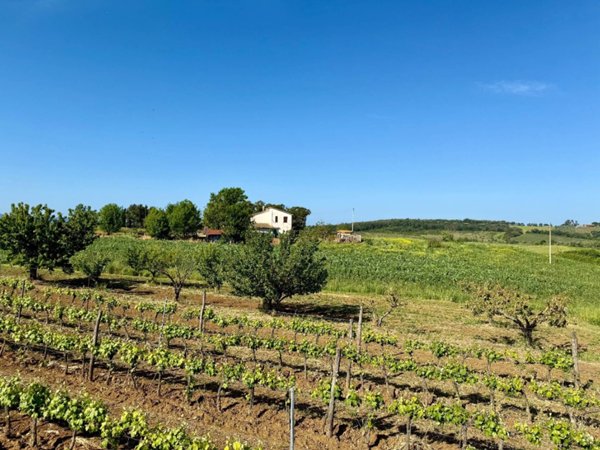 casa indipendente in vendita a Magliano in Toscana