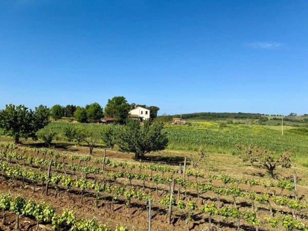 casa indipendente in vendita a Magliano in Toscana