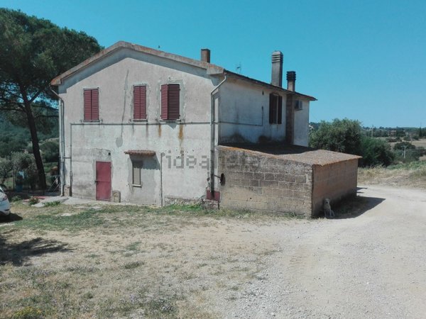 casa indipendente in vendita a Magliano in Toscana in zona Montiano