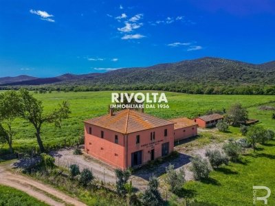 casa indipendente in vendita a Magliano in Toscana