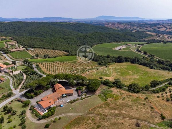 casa indipendente in vendita a Magliano in Toscana