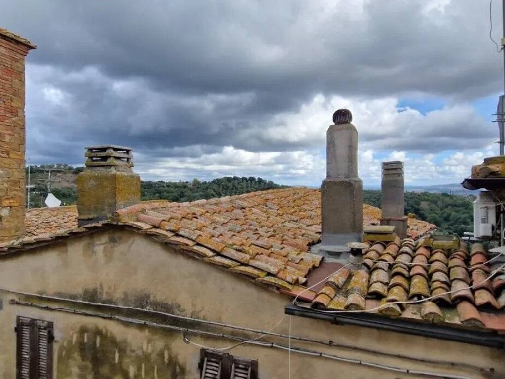 appartamento in vendita a Magliano in Toscana in zona Pereta