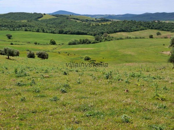 appartamento in vendita a Magliano in Toscana