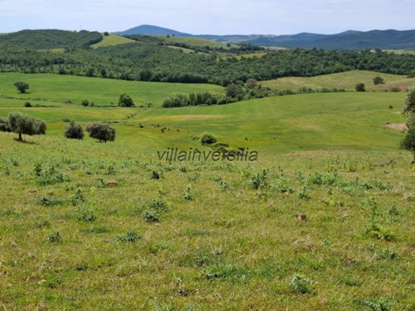 appartamento in vendita a Magliano in Toscana