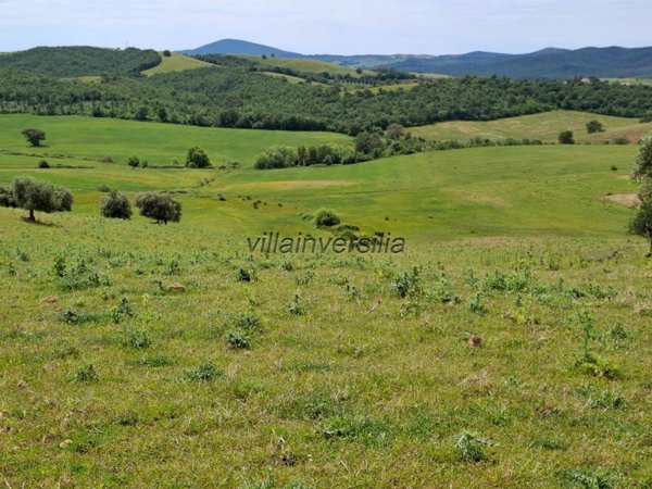 appartamento in vendita a Magliano in Toscana