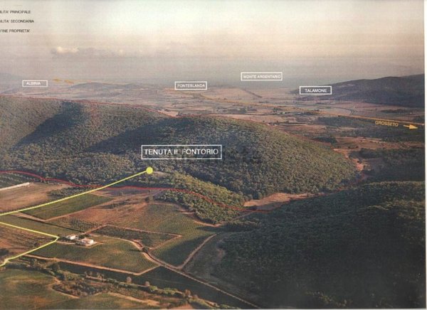 terreno agricolo in vendita a Magliano in Toscana