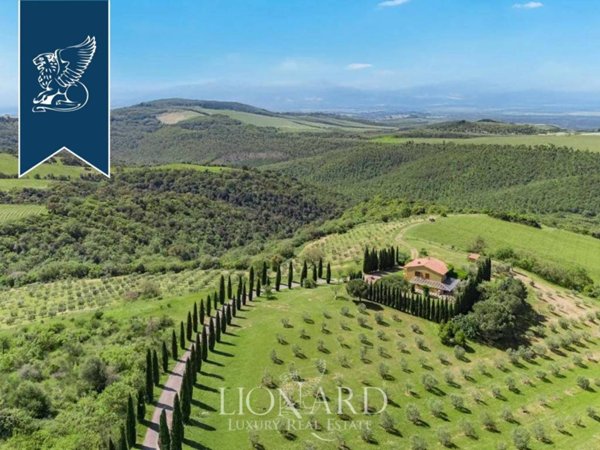 negozio in vendita a Magliano in Toscana