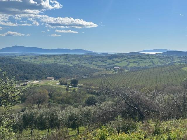 villa in vendita a Magliano in Toscana