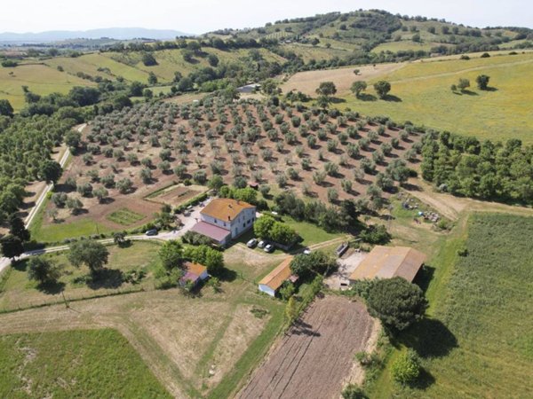 casa indipendente in vendita a Magliano in Toscana in zona Montiano