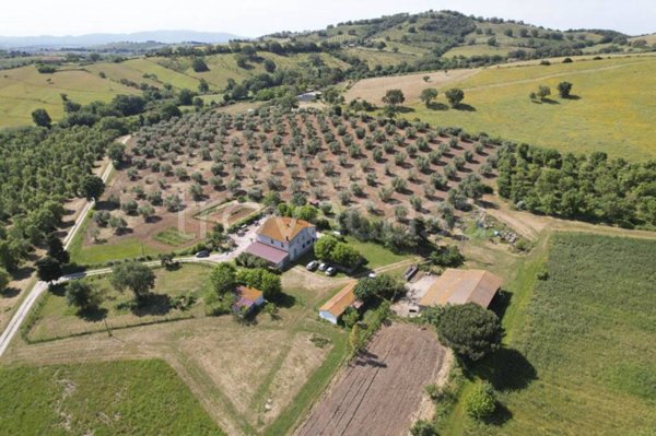 casa indipendente in vendita a Magliano in Toscana in zona Montiano