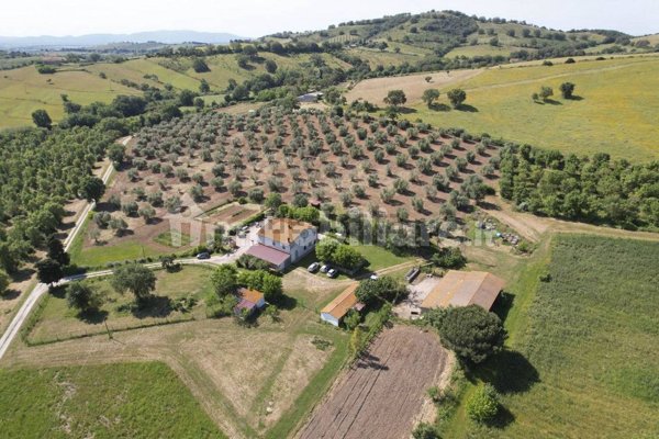 esavano in vendita a Magliano in Toscana in zona Montiano