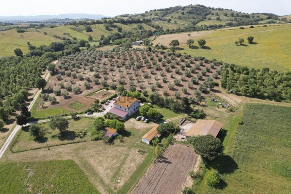 casale in vendita a Magliano in Toscana in zona Montiano