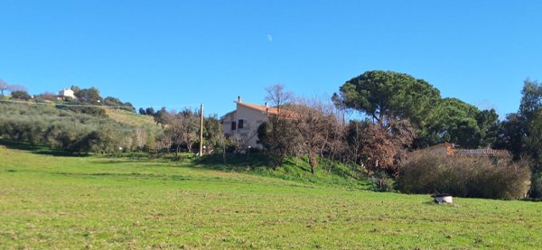 appartamento in vendita a Magliano in Toscana