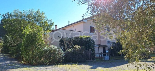 appartamento in vendita a Magliano in Toscana