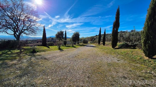 casale in vendita a Magliano in Toscana in zona Montiano