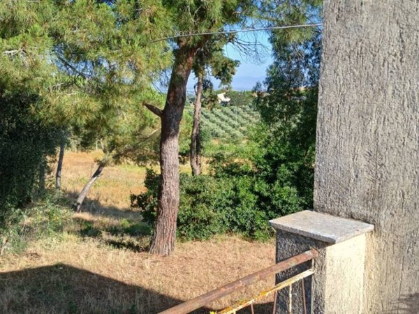 casa indipendente in vendita a Magliano in Toscana