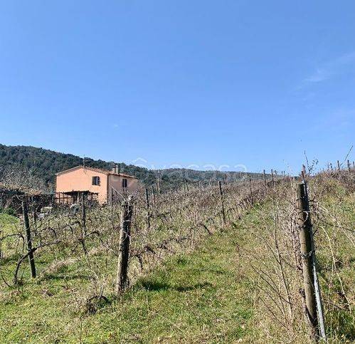 casa indipendente in vendita a Magliano in Toscana