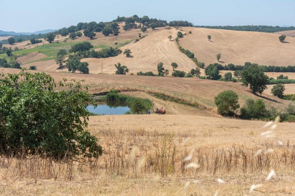 casale in vendita a Magliano in Toscana in zona Pereta