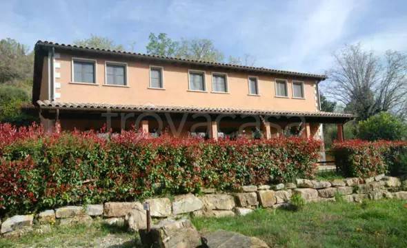 appartamento in vendita a Magliano in Toscana