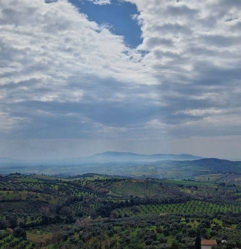 appartamento in vendita a Magliano in Toscana in zona Montiano