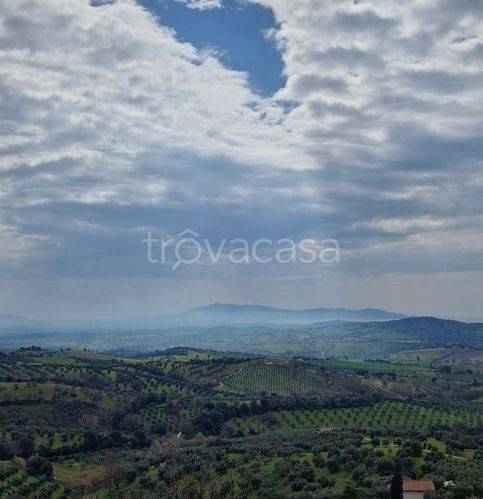 appartamento in vendita a Magliano in Toscana in zona Montiano