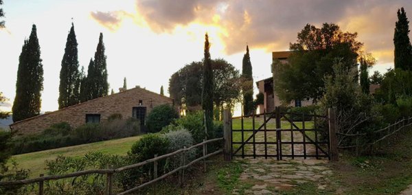 casa indipendente in vendita a Magliano in Toscana