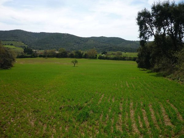 terreno agricolo in vendita a Magliano in Toscana