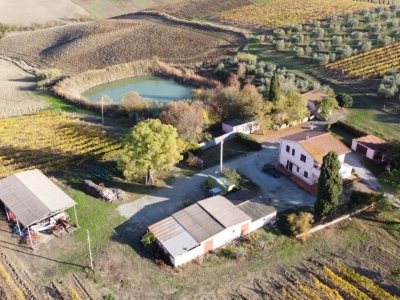 azienda agricola in vendita a Magliano in Toscana