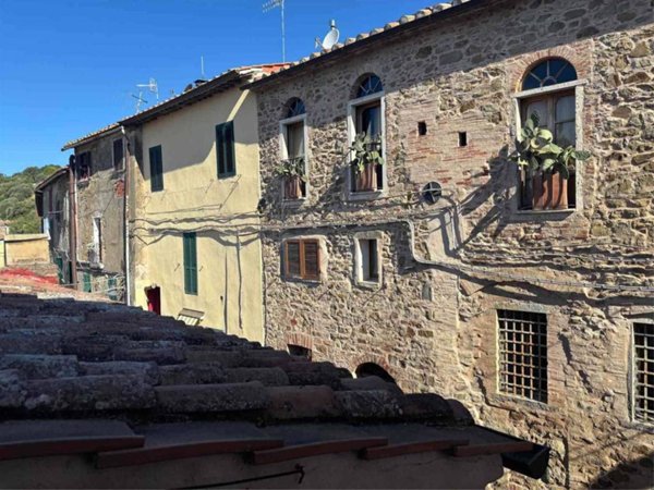 appartamento in vendita a Magliano in Toscana in zona Pereta