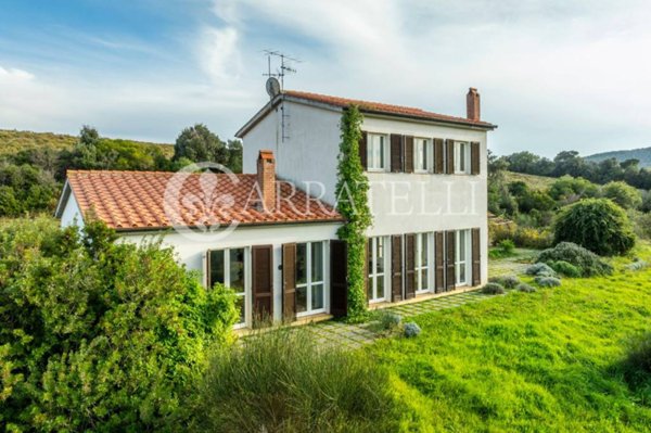 casa indipendente in vendita a Magliano in Toscana in zona Montiano