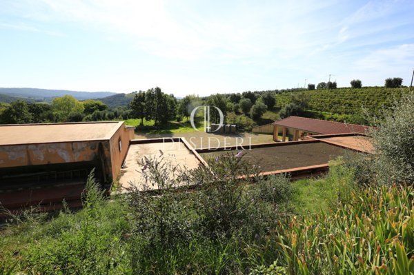 appartamento in vendita a Magliano in Toscana