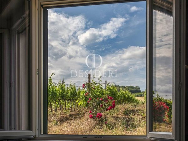 casa indipendente in vendita a Magliano in Toscana