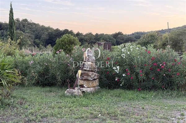 terreno agricolo in vendita a Magliano in Toscana in zona Pereta