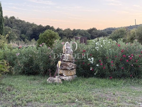 azienda agricola in vendita a Magliano in Toscana