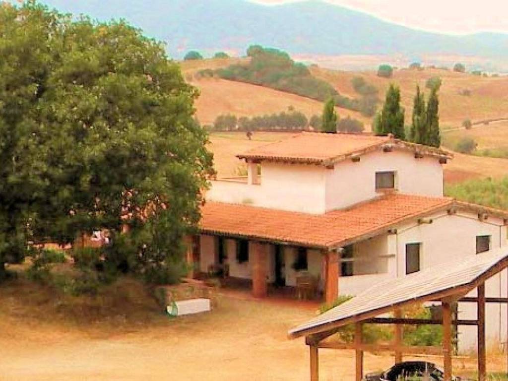 casa indipendente in vendita a Magliano in Toscana in zona Montiano