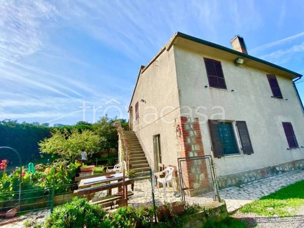 casa indipendente in vendita a Magliano in Toscana in zona Montiano