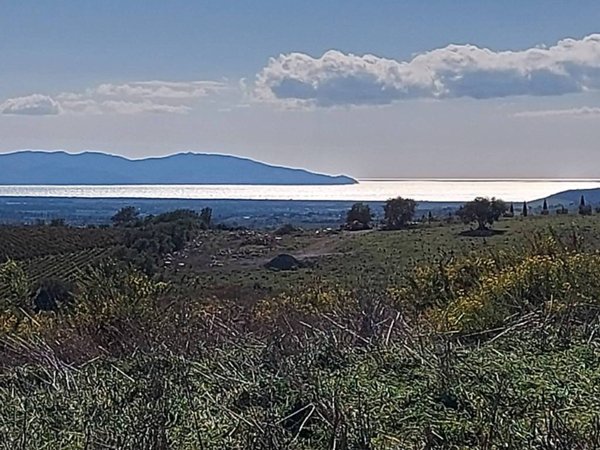 casa indipendente in vendita a Magliano in Toscana