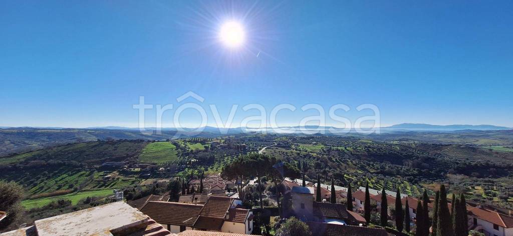 appartamento in vendita a Magliano in Toscana in zona Montiano