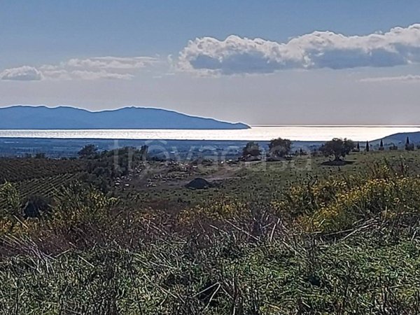 casa indipendente in vendita a Magliano in Toscana