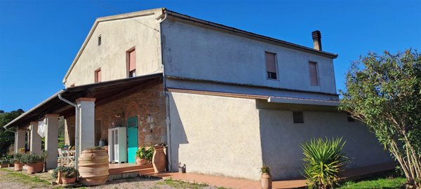 appartamento in vendita a Magliano in Toscana in zona Montiano