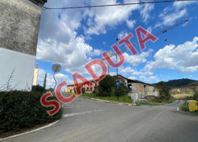 pentavano in vendita a Magliano in Toscana