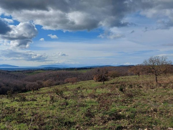 casa indipendente in vendita a Magliano in Toscana